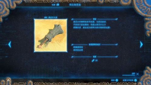 塞尔达初期雷电剑哪里得？-塞尔达传说新手村大剑