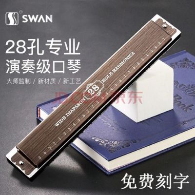 初学者想学习口琴一般买什么的比较好，价格一般在多少左右？-梦想世界新手卡