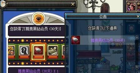 dnf黑钻是什么东西？-dnf黑砖