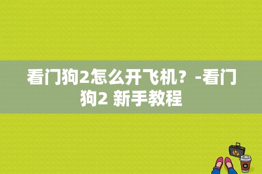 看门狗2怎么开飞机？-看门狗2 新手教程