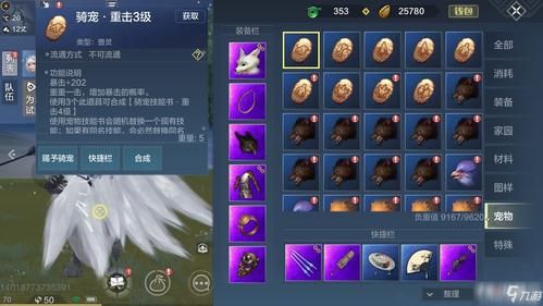 妄想山海宠物技能书哪个最好？你画我猜新手宠物