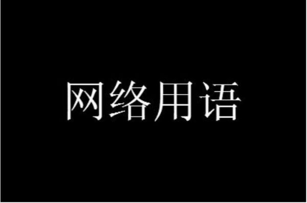 网络用语sc什么意思？上网新手指什么