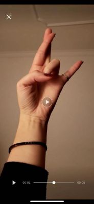 小孩最近流行的手势啥意思？现在流行新手式