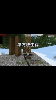我的世界新手生存攻略？我的世界新手生存解说
