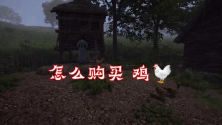 中世纪王朝小鸡多久长大？新手村的鸡