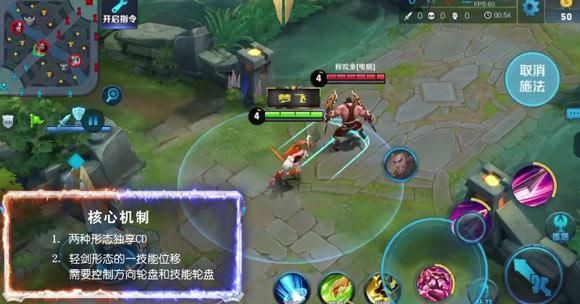 花木兰适合走哪条路？新手花木兰详细教学