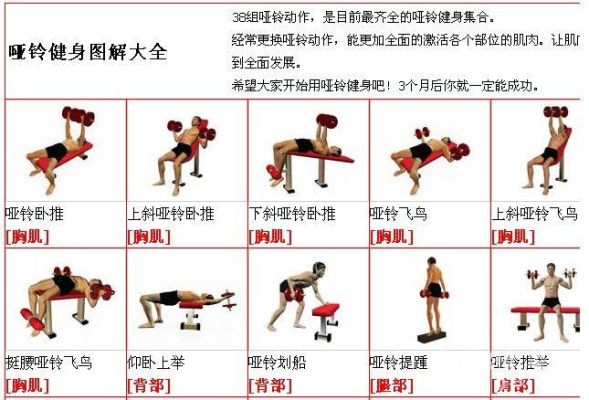 哑铃新手基础教学？新手练哑铃视频教学视频教学