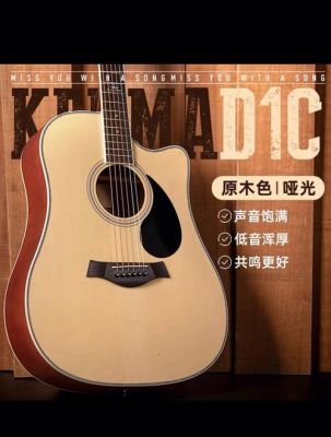 推荐的十款初学者吉他？新手玩儿什么木头