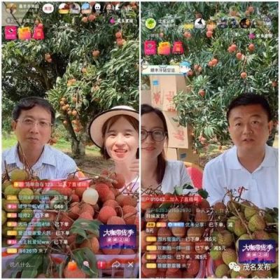 荔枝主播如何升级？荔枝主播新手