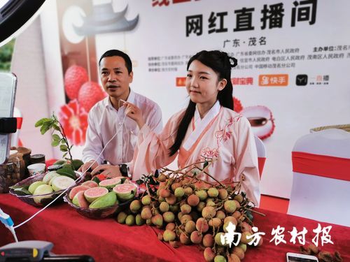 荔枝主播如何升级？荔枝主播新手