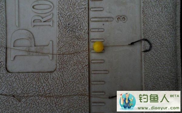 夹珠钓鱼的正确方法？钓鱼新手入门装备图解