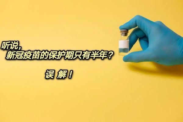 新手保护期是多久？新手保护期有几天