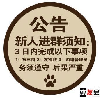 新人进公司群后如何回应欢迎？新手报到了