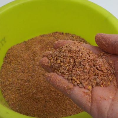 黄金海岸用什么饵料？新手黄金鱼饵 哪里卖
