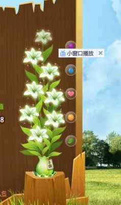 怎样添加花藤应用，花藤应用是干什么的？新手机qq花藤在哪里