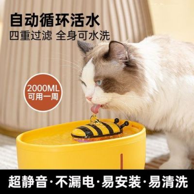 养一个月猫咪新手入门必备物品？新手猫用品推荐
