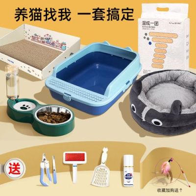 养一个月猫咪新手入门必备物品？新手猫用品推荐
