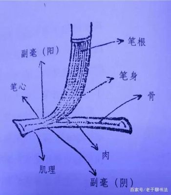 书写楷书时要笔笔中锋笔笔藏锋对吗？新手中锋怎么打