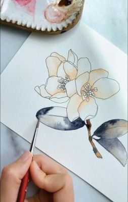 行政专员新手怎么入门？这四大要点需谨记新手如何快速提升