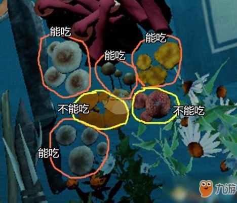 森林食物怎么获取新手？森林初期新手