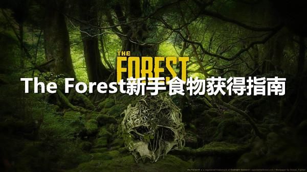森林食物怎么获取新手？森林初期新手