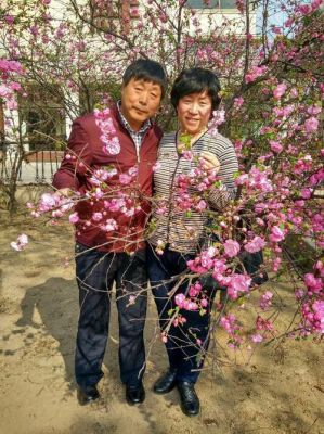 桃花朵朵开相亲节目周四几点直播？桃花交友软件新手指南