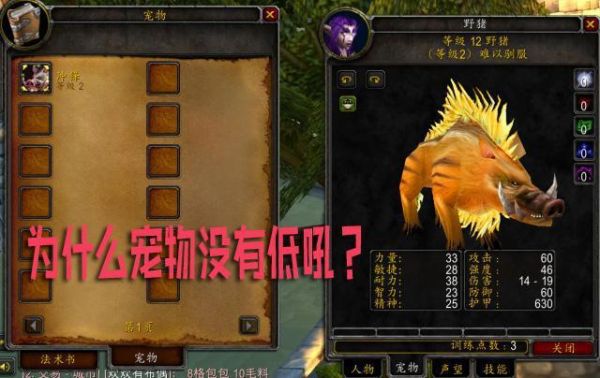 魔兽怀旧猎人升级抓宠顺序？wow新手猎人宝宝副本