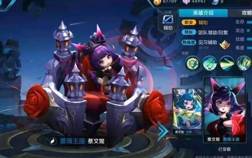 9月1号皮肤自选宝箱里面都有啥？阿珂和蔡文姬新手