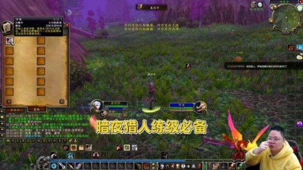 魔兽猎人新手入门教程？帮我搜个新手猎人