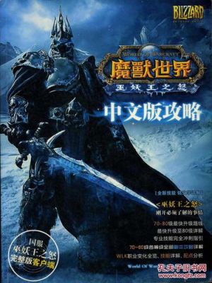 巫妖王之怒新手攻略？新手打巫妖王