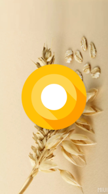 安卓8.0彩蛋怎么玩？android 8.0 新手机