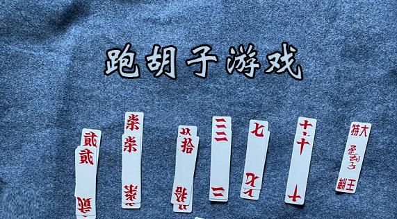 跑胡子到底是怎么玩的？新手跑胡子视频教学