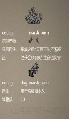 饥荒新手超详细攻略？饥荒新手详细攻略