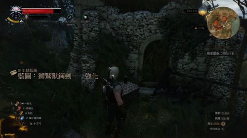 巫师3玩法？剑3 新手 攻略