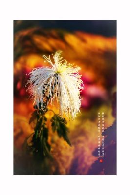 槿花带露桐叶舞秋风什么意思？舞秋风新手教学第二