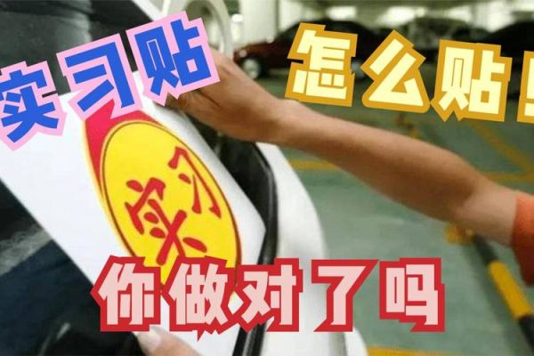 交警教你小车实习标志正确贴法？新手标识领取