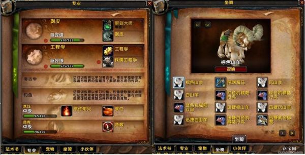 我是一个魔兽世界里的矮人猎人,我该抓什么宠物怎样加点怎么练级?还有该学哪个专业？魔兽世界矮人猎新手