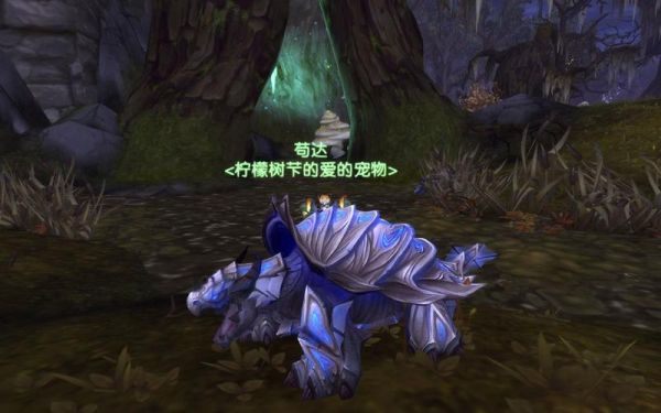 9.1猎人宠物推荐？魔兽新手猎人宠物大全