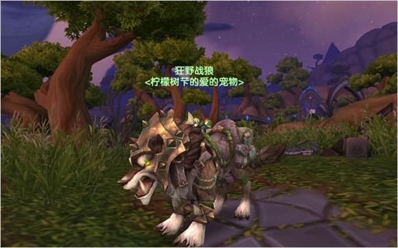 猎人第一只宝宝用什么好？魔兽新手猎人宠物好