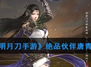 天刀手游唐门适合转职什么？天刀新手玩唐门