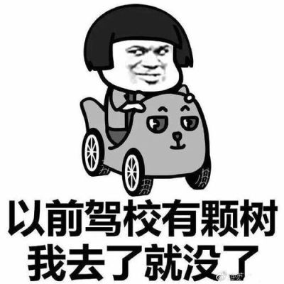 关于学驾照的搞笑句子？新手学开车搞笑视频