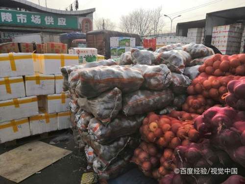 配货站新手好做吗？新手站