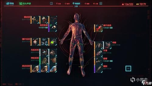 2077刀剑流义体装备推荐？刀剑2新手装备