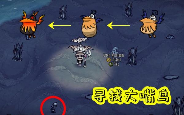 饥荒单机版海难怎么开？饥荒海滩攻略新手开局