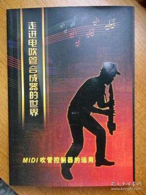 电吹管教学入门零基础教材？新手玩电子合成器