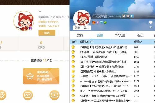 梦幻新诛仙yy礼包怎么领？yy英雄联盟新手礼包