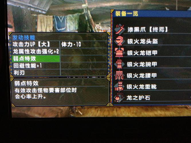 PSP关于怪物猎人P3装备，新手该装备什么？怪物猎人 新手装