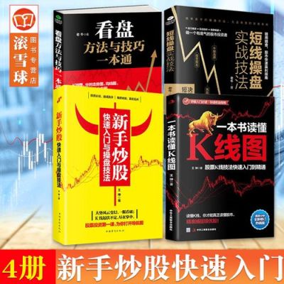 股票新手，可否推荐几本入门的炒股书？新手炒股快速入门pdf