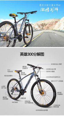 喜德盛的英雄300能骑长途吗？300英雄新手推荐英雄