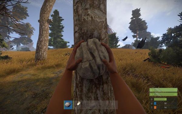 为什么用rust的人少？rust 新手
